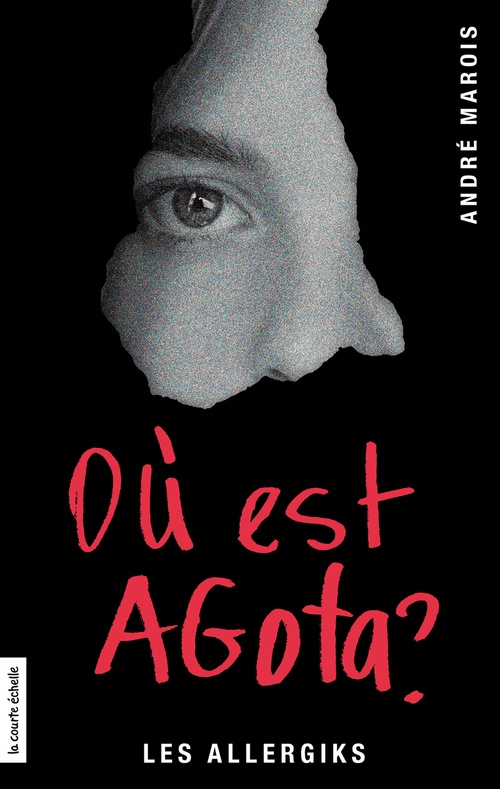 ebook cover of Où est Agota?, by André Marois