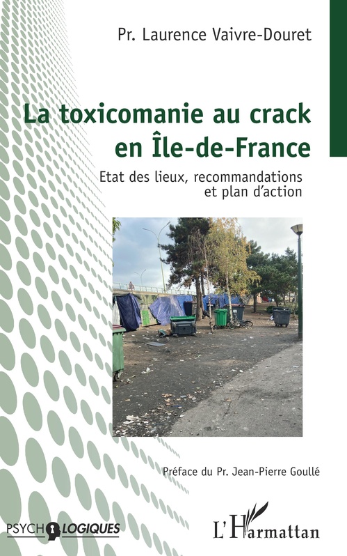 ebook cover of La toxicomanie au crack en Île-de-France, by Laurence Vaivre-Douret