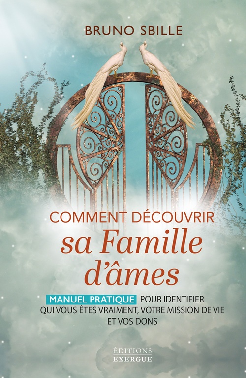 Couverture ebook de Comment découvrir sa famille d'âmes ? - Manuel pratique pour identifier qui vous êtes vraiment, votre mission de vie et vos dons, de Bruno Sbille
