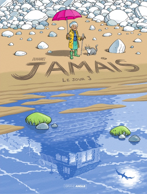 ebook cover of Jamais - Tome 2, by Bruno Duhamel