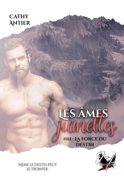 Couverture ebook de Les âmes jumelles - Tome 3, de Cathy Antier