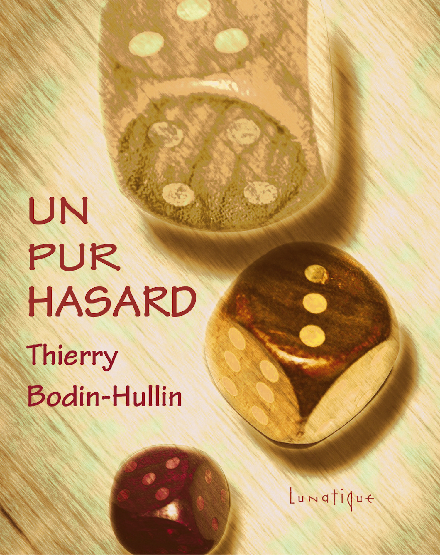 Couverture ebook de Un pur hasard, de Thierry Bodin-Hullin