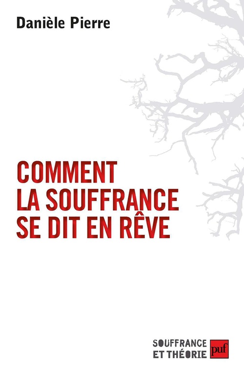 Couverture ebook de Comment la souffrance se dit en rêves : Un regard ethnopsychiatrique, de Daniele Pierre