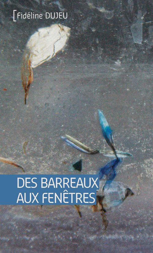 ebook cover of Des barreaux aux fenêtres, by Fidéline Dujeu
