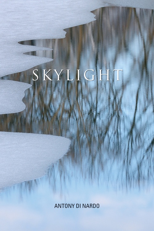 Couverture ebook de Skylight, de Antony Di Nardo