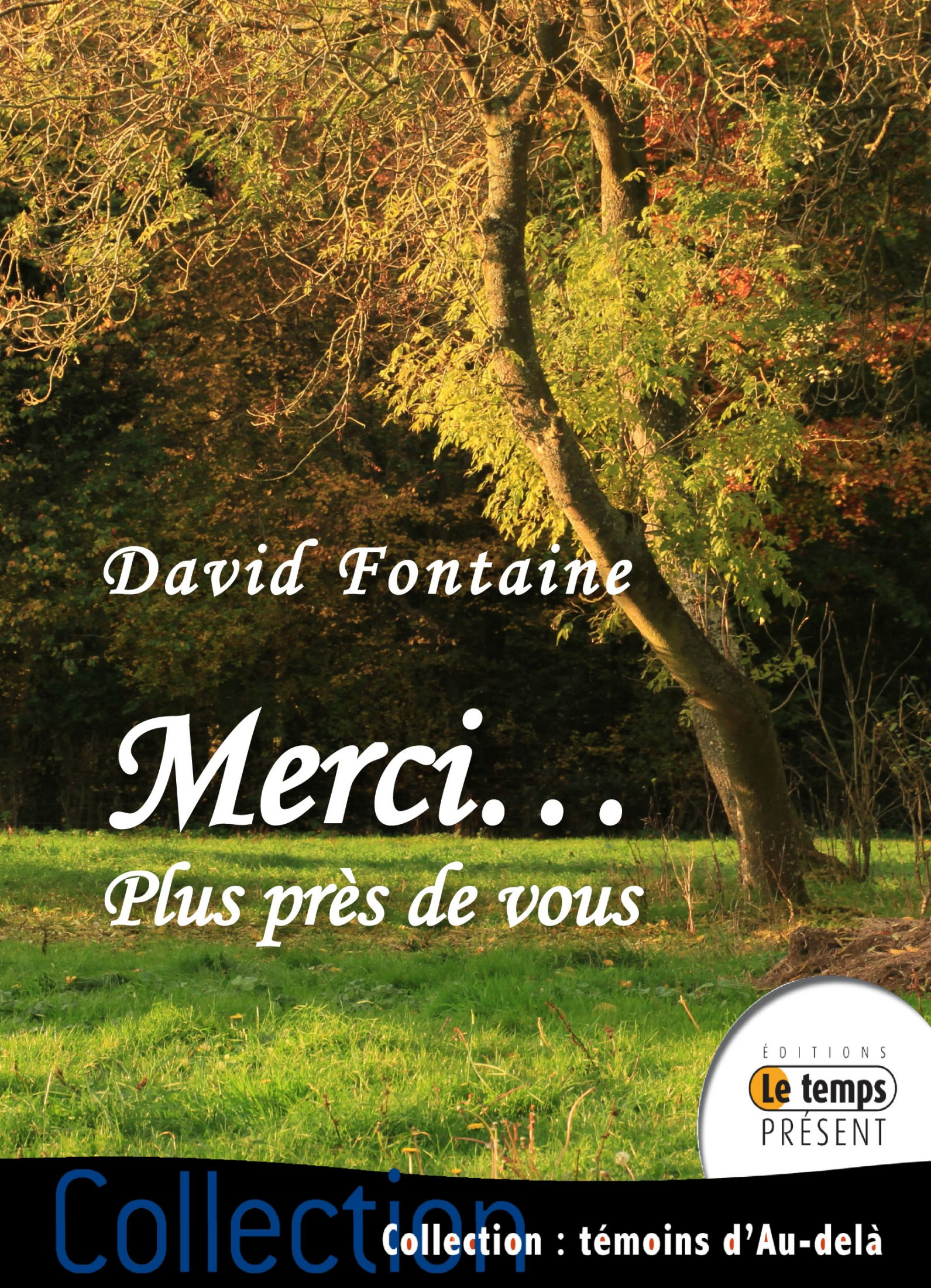 Couverture ebook de Merci  - Tome 2, de David Fontaine