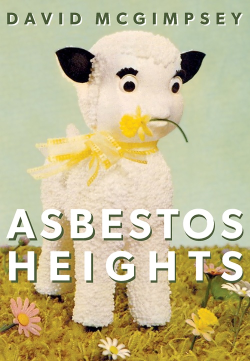 ebook cover of Asbestos Heights, by David Mcgimpsey