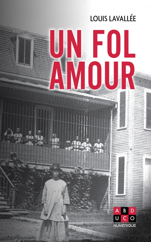 ebook cover of UN FOL AMOUR, by Lavallee Louis