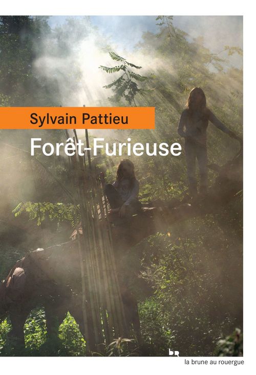 ebook cover of Forêt-Furieuse, by Sylvain Pattieu