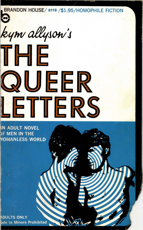 ebook cover of The Queer Letters, by Kym Allison
