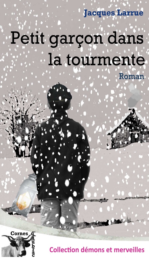 Couverture ebook de Petit garçon dans la tourmente, de Jacques Larrue