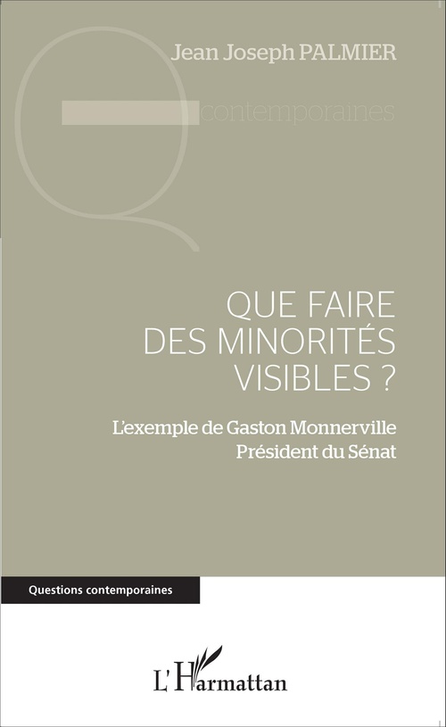 ebook cover of Que faire des minorités visibles ?, by Jean-joseph Palmier
