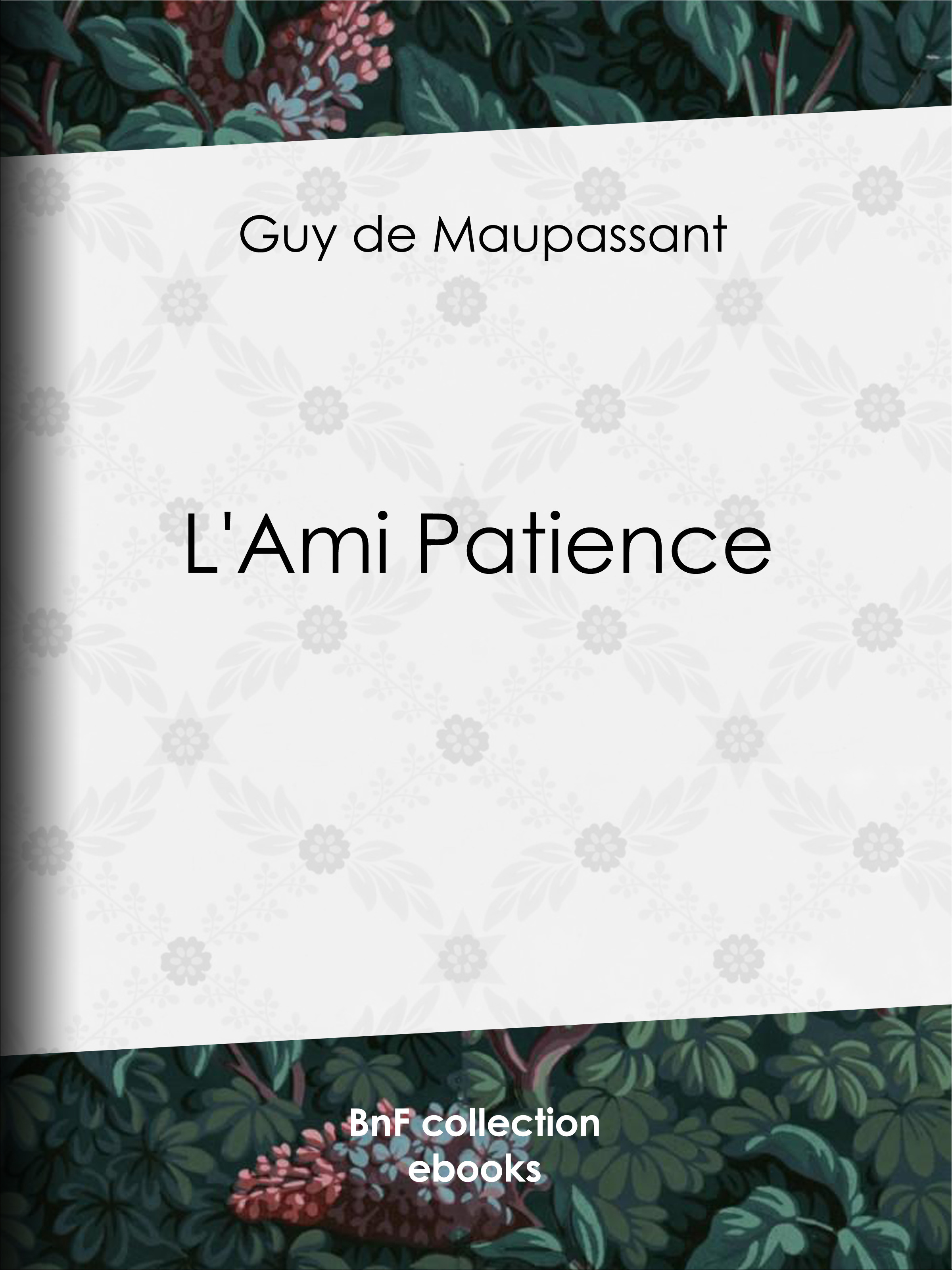 ebook cover of L'Ami Patience, by Guy de Maupassant