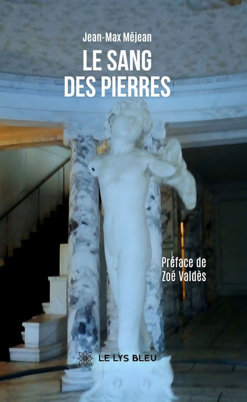 Couverture ebook de Le sang des pierres, de Jean-Max Méjean