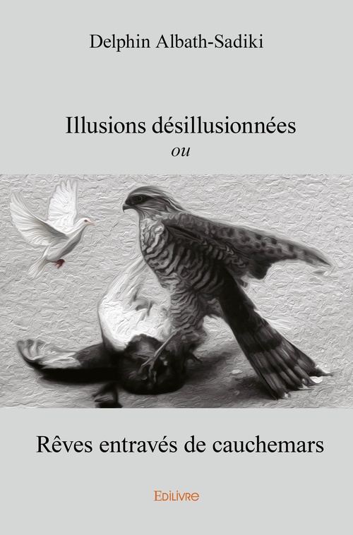 Couverture ebook de Illusions désillusionnées, de Delphin Albath-Sadiki