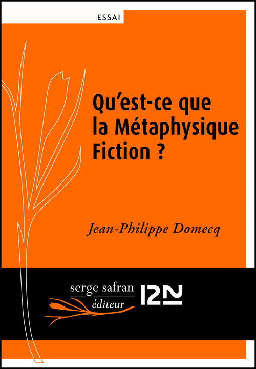 Couverture ebook de Qu'est-ce que la Métaphysique Fiction ?, de Jean-philippe Domecq
