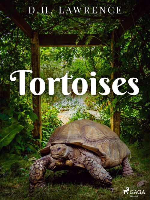 Couverture ebook de Tortoises, de D.h. lawrence