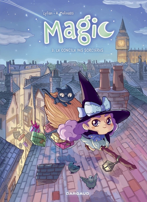 ebook cover of Magic - Tome 2 - Le Concile des Sorcières, by Lylian