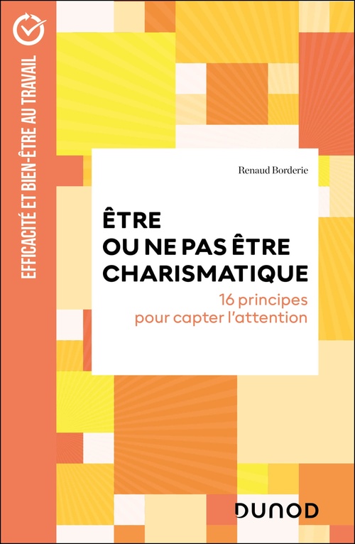 ebook cover of Être ou ne pas être charismatique, by Renaud Borderie