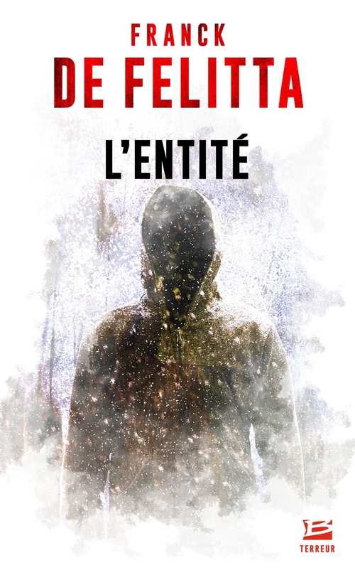 ebook cover of L'Entité, by Frank De Felitta