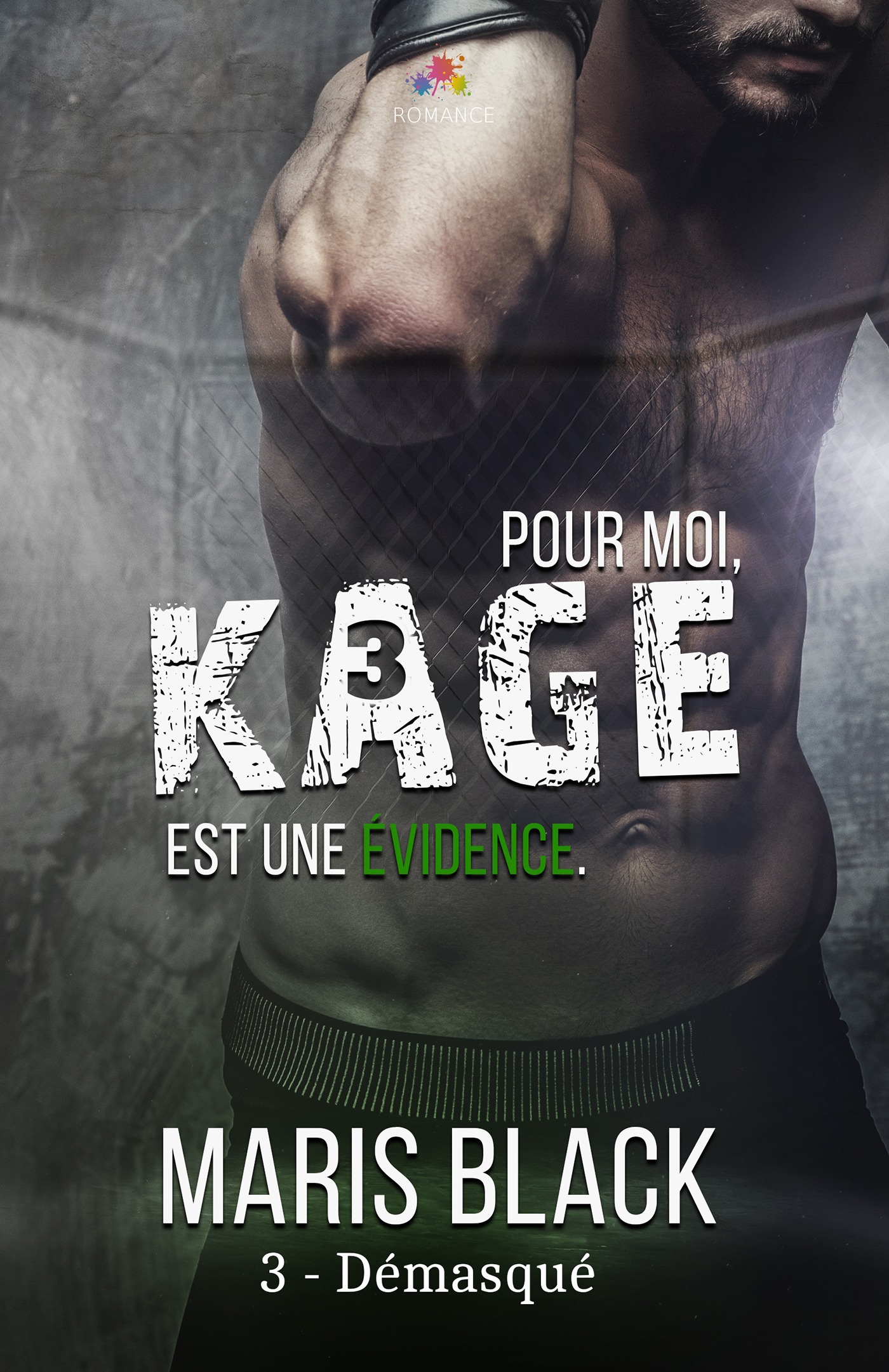ebook cover of Démasqué, by Maris Black