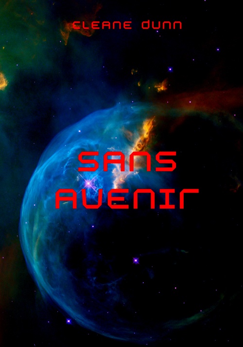 ebook cover of Sans avenir, by Cleane Dunn
