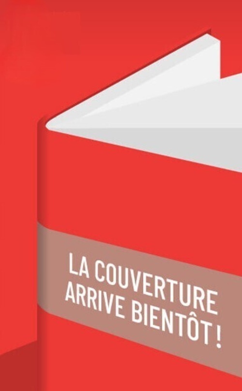 ebook cover of Vers la fin des médias ?, by Mathieu Gallet