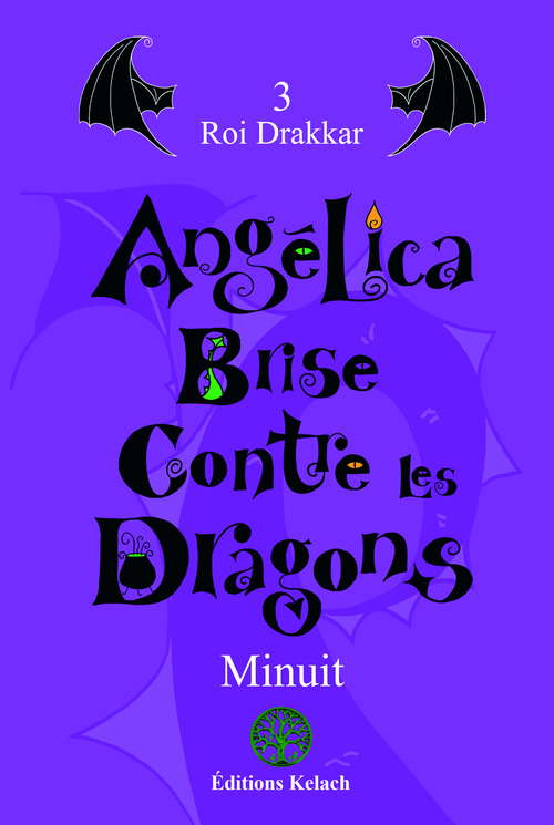 ebook cover of Roi Drakkar, by Minuit