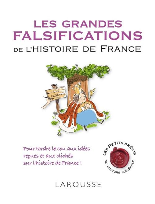 ebook cover of Les grandes falsifications de l'histoire de France, by Renaud Thomazo