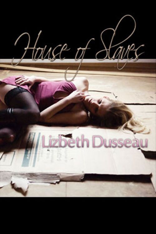 ebook cover of House of Slaves, by Lizbeth Dusseau