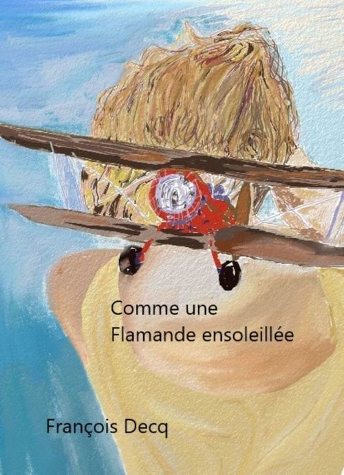 ebook cover of Comme une Flamande ensoleillée, by François DECQ