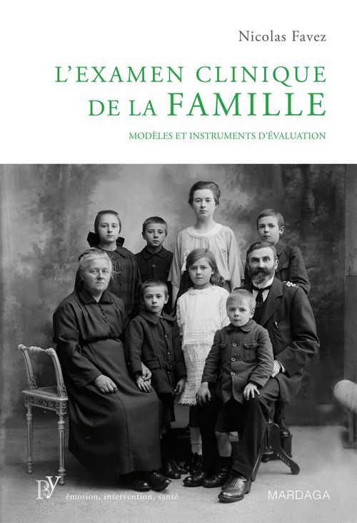 ebook cover of L'examen clinique de la famille, by Nicolas Favez