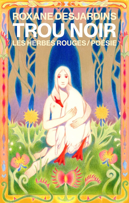 Couverture ebook de Trou noir, de Roxanne Desjardins