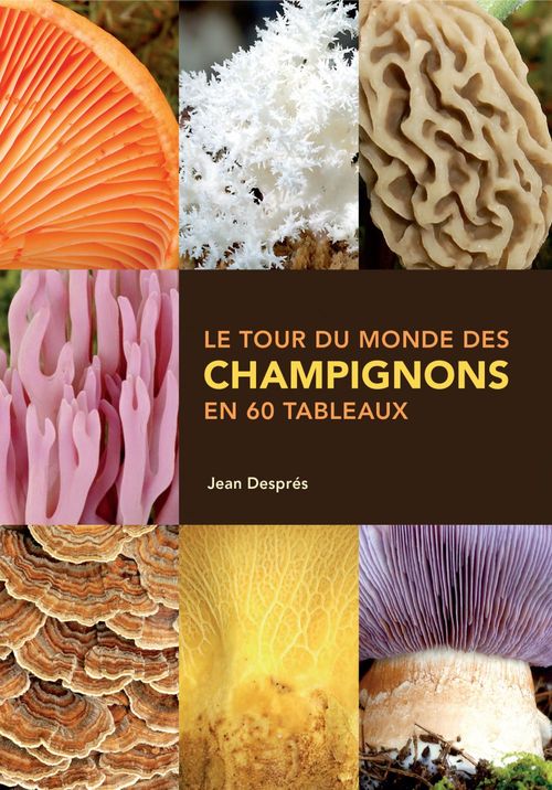 Couverture ebook de Le tour du monde des champignons en 60 tableaux, de Despres Jean