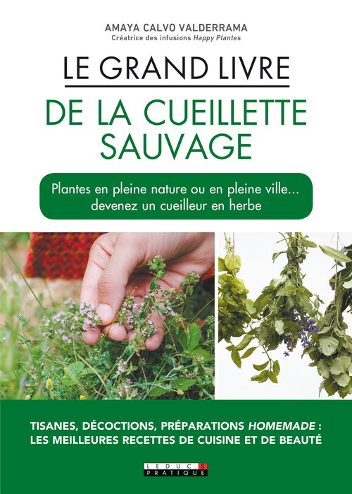 Couverture ebook de Le Grand Livre de la cueillette sauvage, de Amaya Calvo Valderrama