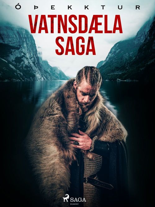 ebook cover of Vatnsdæla saga , by - OþEkktur
