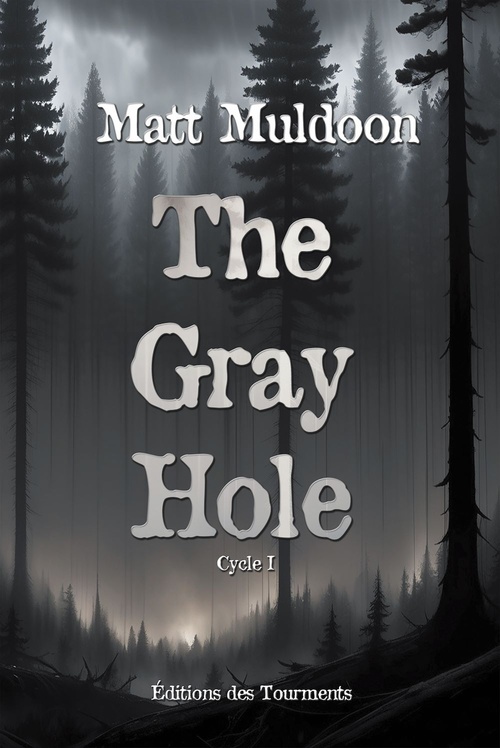 ebook cover of The Gray Hole, by Matt Muldoon