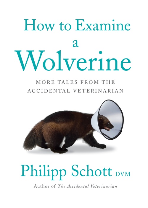 Couverture ebook de How to Examine a Wolverine, de Philipp Schott