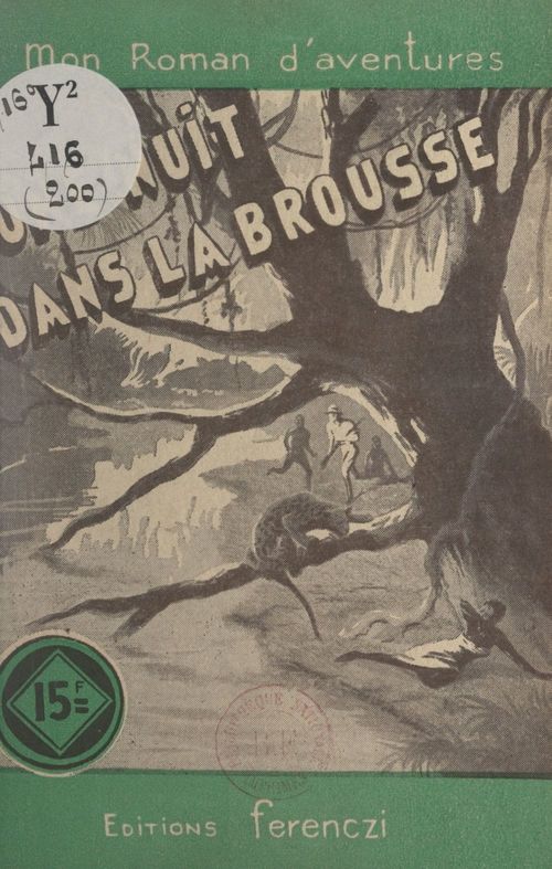Couverture ebook de Une nuit dans la brousse, de Leo Gestelys
