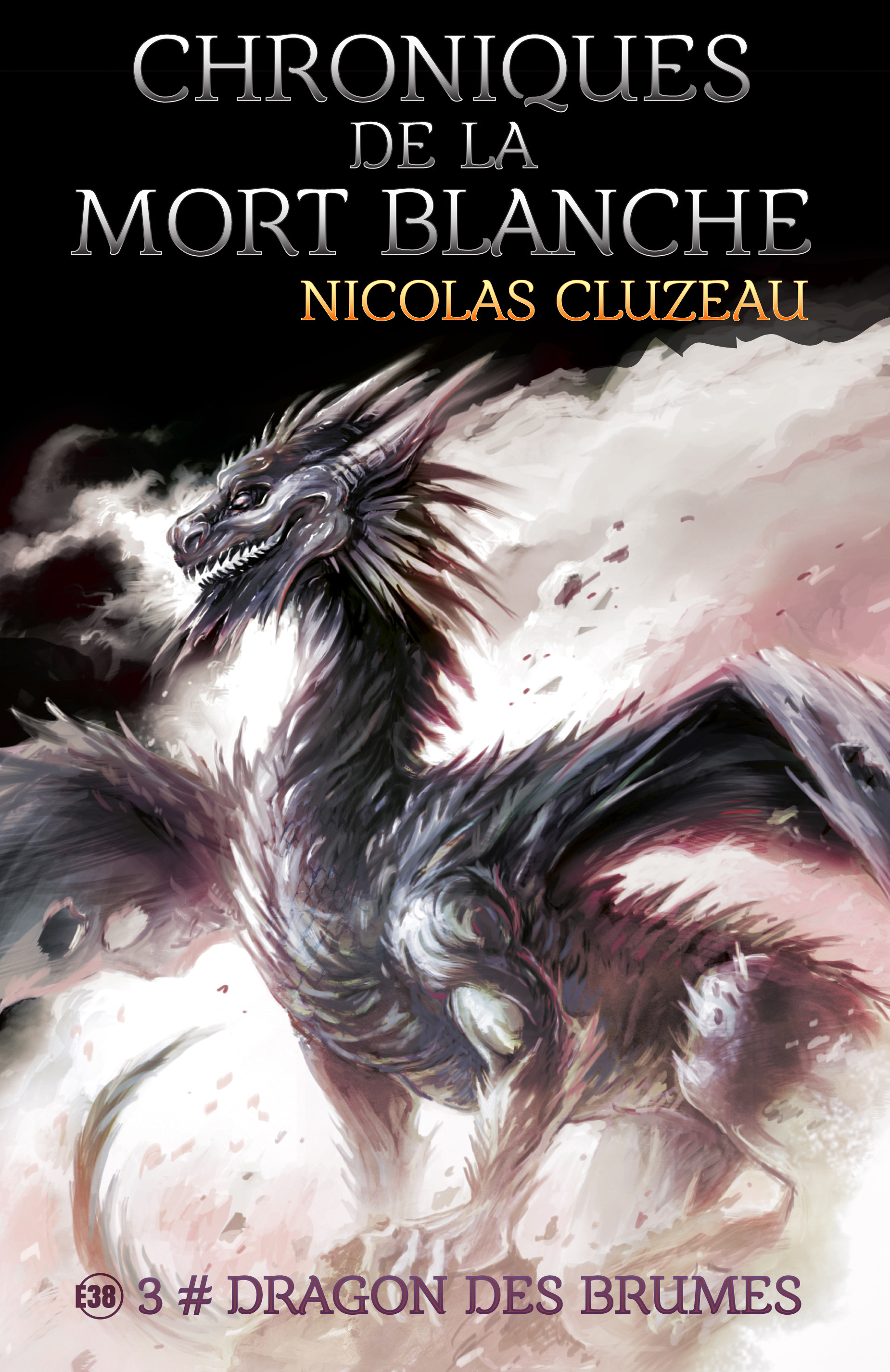 ebook cover of Dragon des brumes, by Nicolas Cluzeau