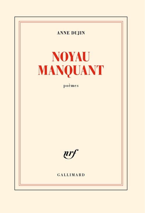 Couverture ebook de Noyau manquant, de Anne Dujin