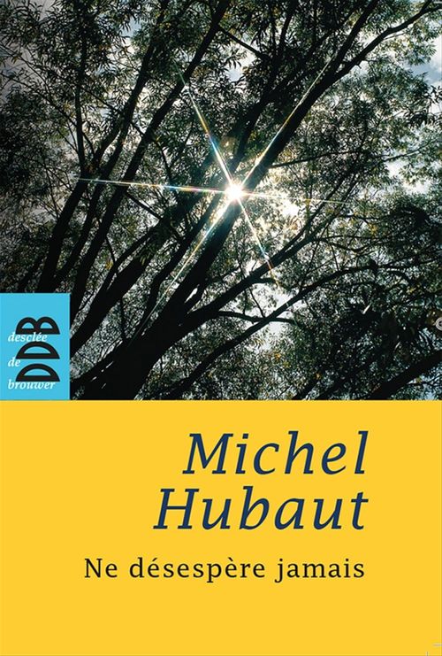 Couverture ebook de Ne désespère jamais, de Michel Hubaut