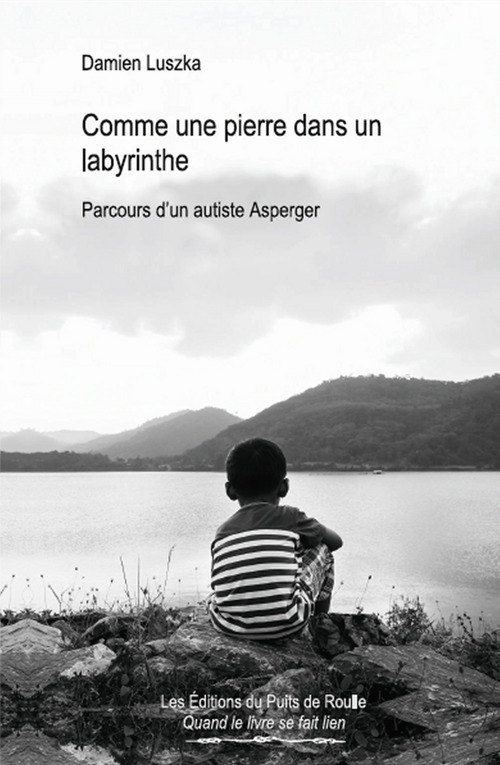 Couverture ebook de Comme une pierre dans un labyrinthe, de Luszka Damien