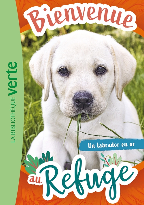 ebook cover of Bienvenue au refuge 08 - Un labrador en or, by Hachette Livre
