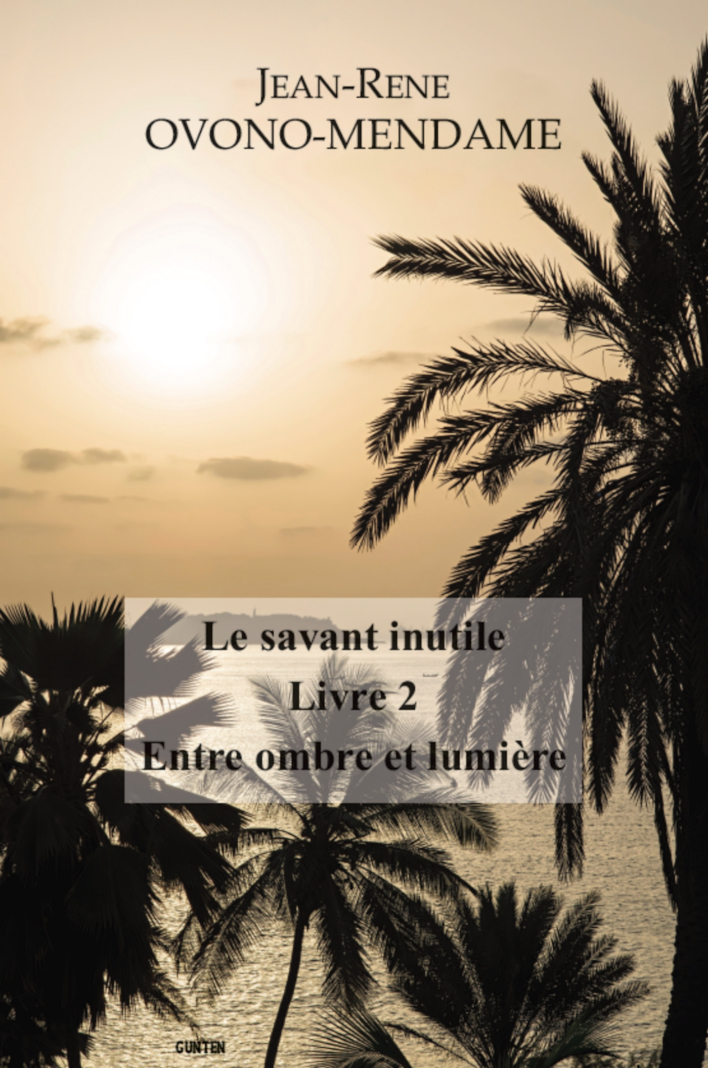 ebook cover of Le Savant inutile - Livre 2 - Entre ombre et lumière, by Jean-rené Ovono mendame