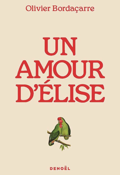 ebook cover of Un amour d'Élise, by Olivier Bordaçarre