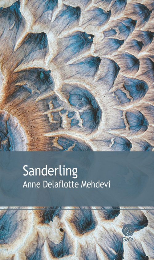 ebook cover of Sanderling, by Anne Delaflotte Mehdevi