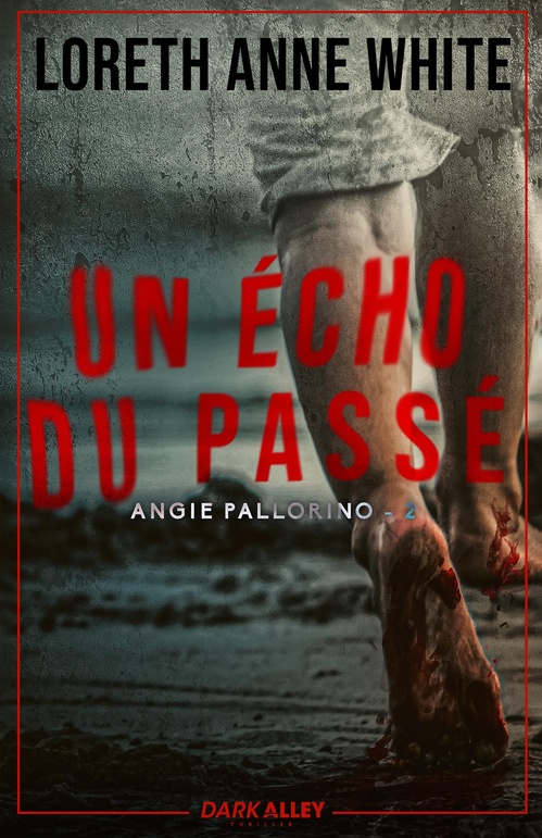 ebook cover of Un écho du passé, by Anne Loreth White
