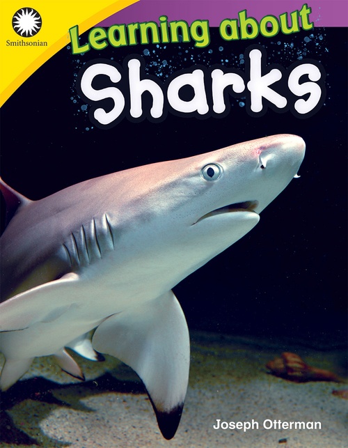 Couverture ebook de Learning about Sharks, de Joseph Otterman