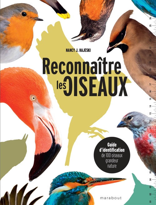ebook cover of Reconnaître les oiseaux, by Nancy J. Hajeski